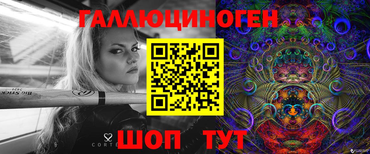 Псилоцибиновые грибы Psilocybe Чапаевск