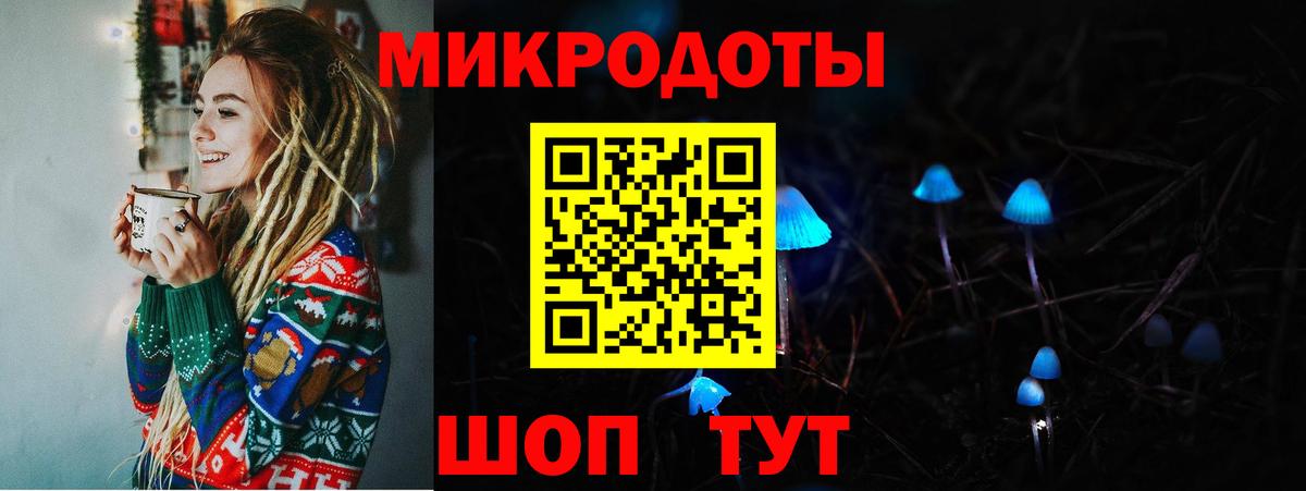 Чапаевск  Псилоцибиновые грибы прущие грибы  Вход с VPN  Галлюциногенные грибы Psilocybine cubensis 